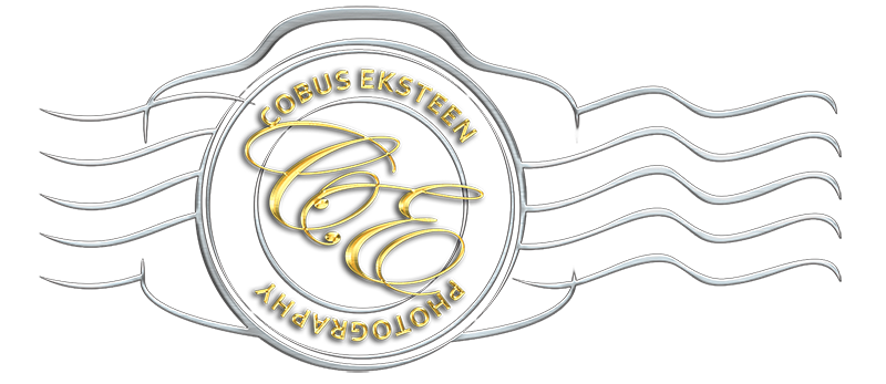 logo 800